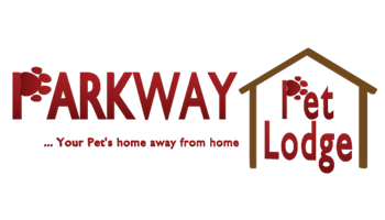 Website Developer Pittsburgh PA